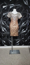 Load image into Gallery viewer, NWT MANER 2 TONED SEQUIN DRESS      SZ LARGE
