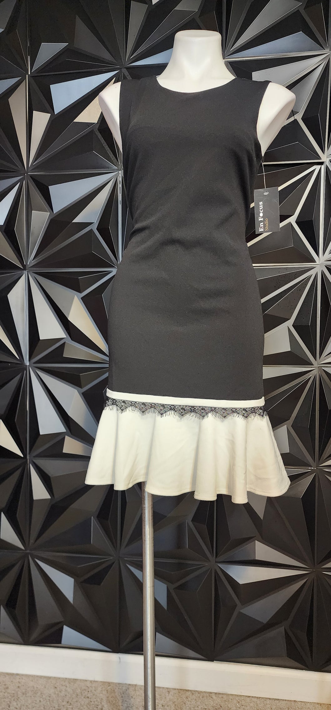 NWT Enfocus drop waist dress        sz 6
