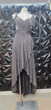 Load image into Gallery viewer, Silver Dress         sz 3xl (18/20)
