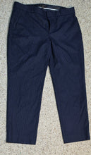 Load image into Gallery viewer, Banana Republic pants           sz 10
