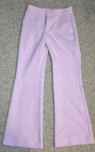 Load image into Gallery viewer, Banana Republic pink pants           sz 8
