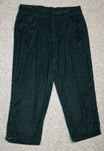 Load image into Gallery viewer, Old navy Velour green high waist  pants                sz xxl
